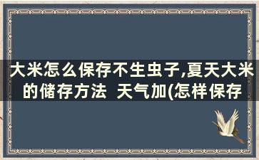 大米怎么保存不生虫子,夏天大米的储存方法  天气加(怎样保存大米不生虫子最好方法)